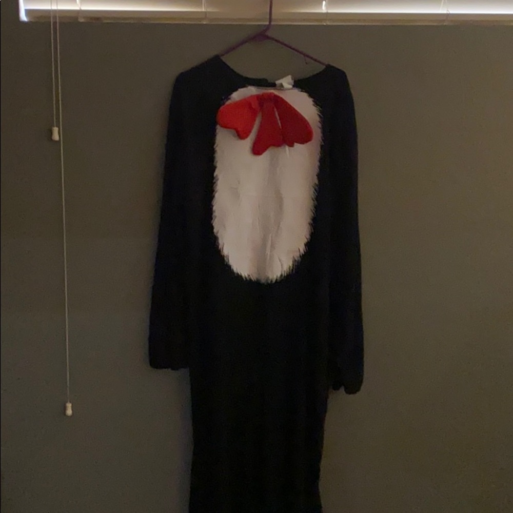 Cat and the hat costume